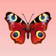 jujuju